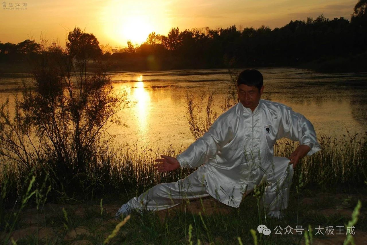 王成太极《接手篇》